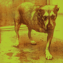 Heaven Beside You - Alice in Chains