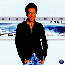 کاور آهنگ Arousak از Andy