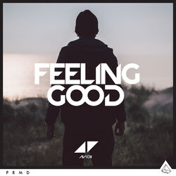 کاور آهنگ Feeling Good از آویچی