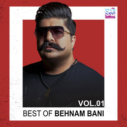 کاور آهنگ Hame Donyam از Behnam Bani