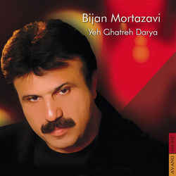 کاور آهنگ Ronak از Bijan Mortazavi