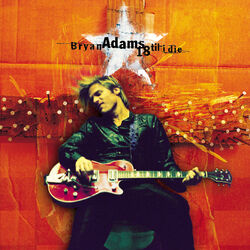 Have You Ever Really Loved a Woman - Bryan Adams