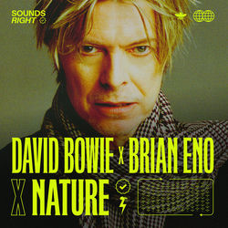 کاور آهنگ Nature Boy از دیوید بووی