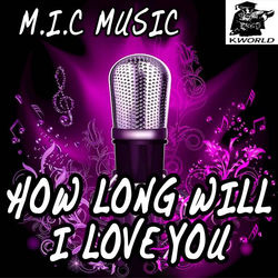 How Long Will I Love You - Ellie Goulding