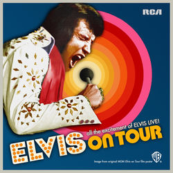 Lawdy, Miss Clawdy - Elvis Presley