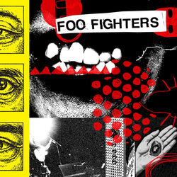 If You Only Knew - Foo Fighters