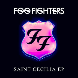 Sean - Foo Fighters