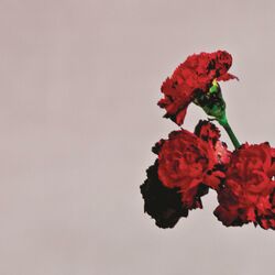 کاور آهنگ All of Me از جان لجند