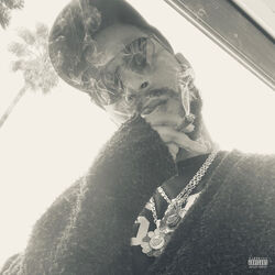 کاور آهنگ Leader of the Delinquents از Kid Cudi