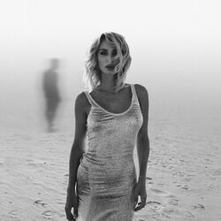 کاور آهنگ Два незнайомці از LOBODA