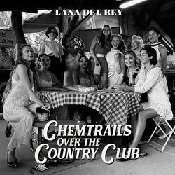 کاور آهنگ Yosemite از لانا دل ری