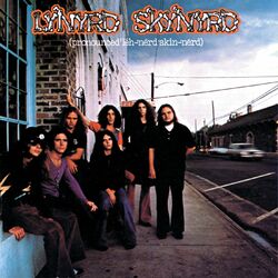 کاور آهنگ Gimme Three Steps از Lynyrd Skynyrd
