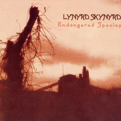Saturday Night Special - Lynyrd Skynyrd