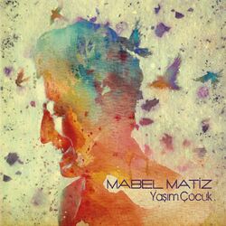 Tamburu Yokuştan - Mabel Matiz