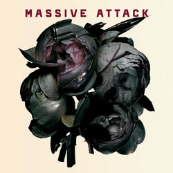 کاور آهنگ Teardrop (2006 Remastered) از Massive Attack