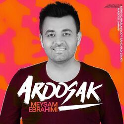 Aroosak - Meysam Ebrahimi