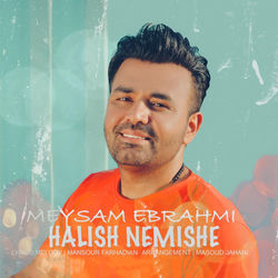کاور آهنگ Halish Nemishe از میسام ابراهیمی