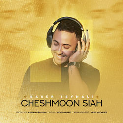 کاور آهنگ Cheshmoon Siah از Naser Zeynali