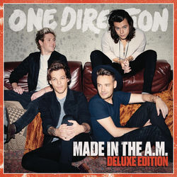 I Want to Write You a Song - One Direction