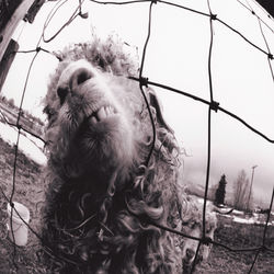 Elderly Woman Behind the Counter in a Small Town - Pearl Jam