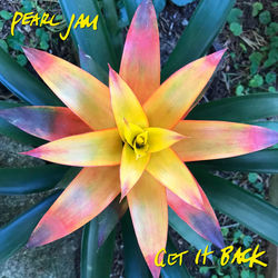 Get It Back - Single