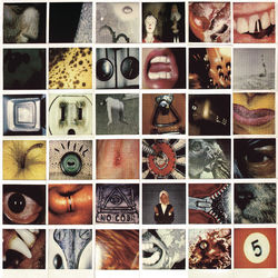 Red Mosquito - Pearl Jam
