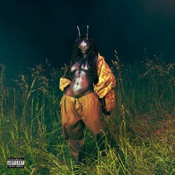 Open Arms (just SZA) - SZA