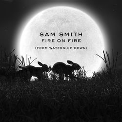 کاور آهنگ Fire On Fire (From Watership Down) از سم اسمیت