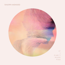 If I Can't Have You - Shawn Mendes