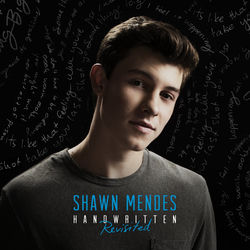 Life of the Party - Shawn Mendes