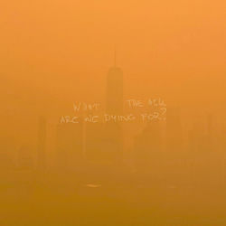 WHAT THE HELL ARE WE DYING FOR - Shawn Mendes
