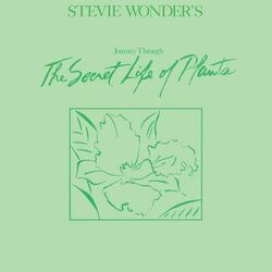 Black Orchid - Stevie Wonder