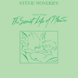 Earth's Creation - Stevie Wonder