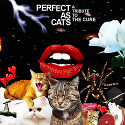 کاور آهنگ Six Different Ways از د کور
