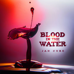 کاور آهنگ The Blood از د کور