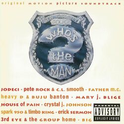 کاور آهنگ Party and Bullst از The Notorious B.I.G.