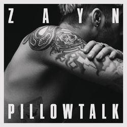 کاور آهنگ PILLOWTALK از زین مالیک